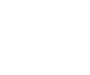 Shopping cart icon