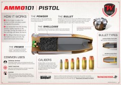 Pistol Foam Board 24 x 17: Click to Enlarge